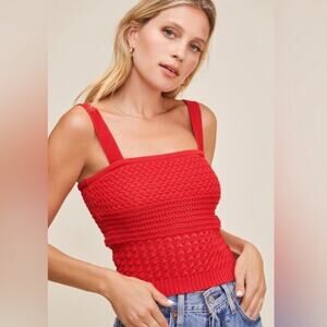 Astr Darci crochet cropped sweater tank